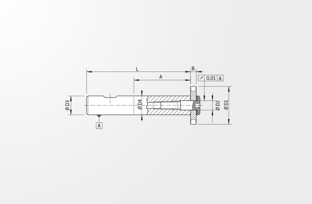 asset-117384-23345