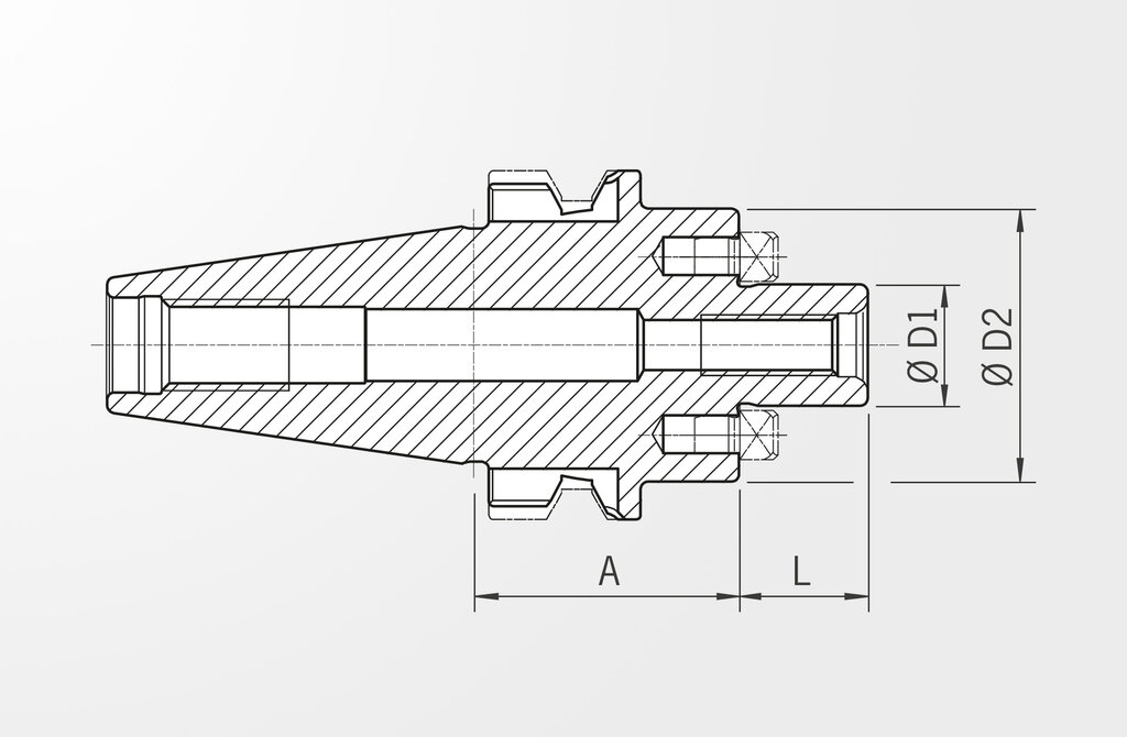 Technical drawing Face Mill Arbor JIS B 6339-2 · BT30