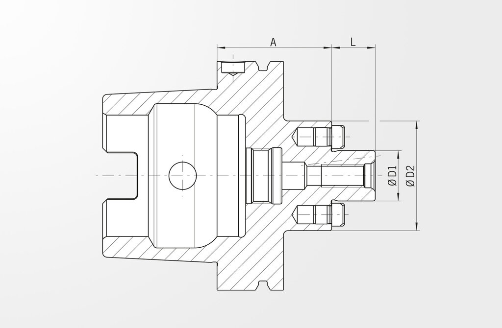 Technical drawing Face Mill Arbor DIN 69893-1 · HSK-A100
