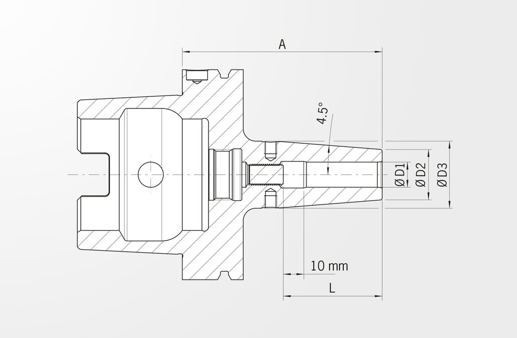 Disegno tecnico Mandrino per calettamento versione standard DIN 69893-1 · HSK-A100